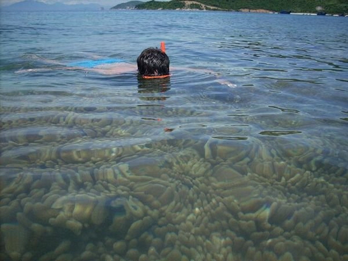 Snorkellking in Cham island